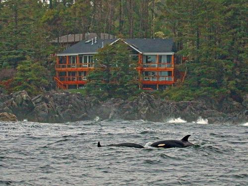 Whales-Melfort-Bell-Guest-Suites-Ucleulet-Brian-Congdon edit-min-1-1